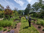 2023-05-12 185 View from Perennial Garden (14), Herbaceous Teaching Garden; Barnes Arboretum, Merion PA.jpg