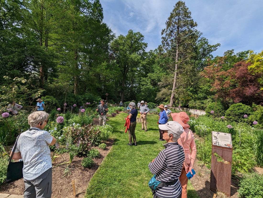 2023-05-12 186 View from steps to Perennial Garden, Herbaceous Teaching Garden; Barnes Arboretum, Merion PA.jpg