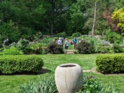 2023-05-12 191 Herbaceous Teaching Garden; Barnes Arboretum, Merion PA.jpg