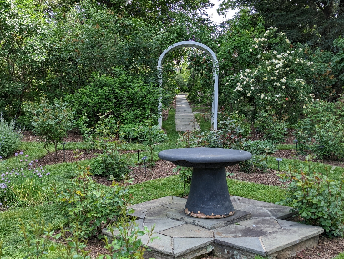 2023-05-12 192 Birdbath at exit from Rose Garden (12), Herbaceous Teaching Garden; Barnes Arboretum, Merion PA.jpg