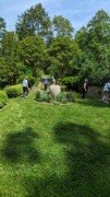 2023-05-12 198 Midsection of Herbaceous Teaching Garden; Barnes Arboretum, Merion PA.jpg