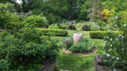 2023-05-12 206 Looking from roses to perennials, Herbaceous Teaching Garden; Barnes Arboretum, Merion PA.jpg