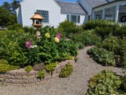 2024-07-22 021 Jessica & John Bowlin; Garden Day, Islesboro ME.jpg