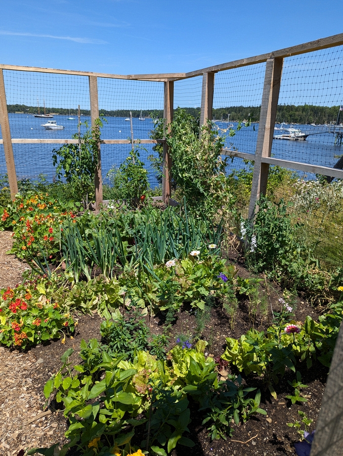 2024-07-22 070 Abby & Henry Wilder; Garden Day, Islesboro ME.jpg