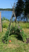 2024-07-22 073 Abby & Henry Wilder; Garden Day, Islesboro ME.jpg