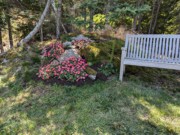 2024-07-22 107 Harry & Carter Brigham; Garden Day, Islesboro ME.jpg