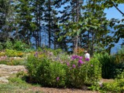 2024-07-22 114 Harry & Carter Brigham; Garden Day, Islesboro ME.jpg