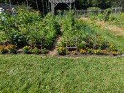 2024-07-22 201 Sharon & Butch McCorison; Garden Day, Islesboro ME.jpg