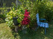 2024-07-22 203 Sharon & Butch McCorison; Garden Day, Islesboro ME.jpg