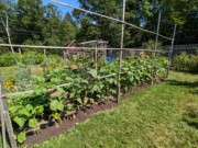 2024-07-22 205 Sharon & Butch McCorison; Garden Day, Islesboro ME.jpg
