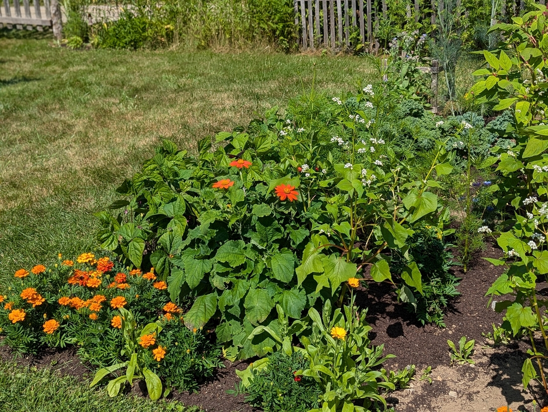 2024-07-22 235 Sharon & Butch McCorison; Garden Day, Islesboro ME.jpg